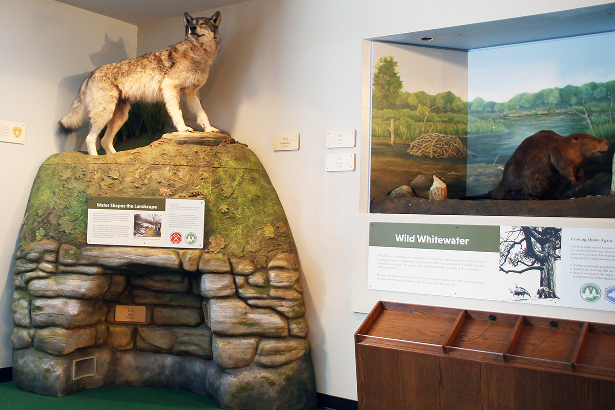 taxidermy wolf on rocks